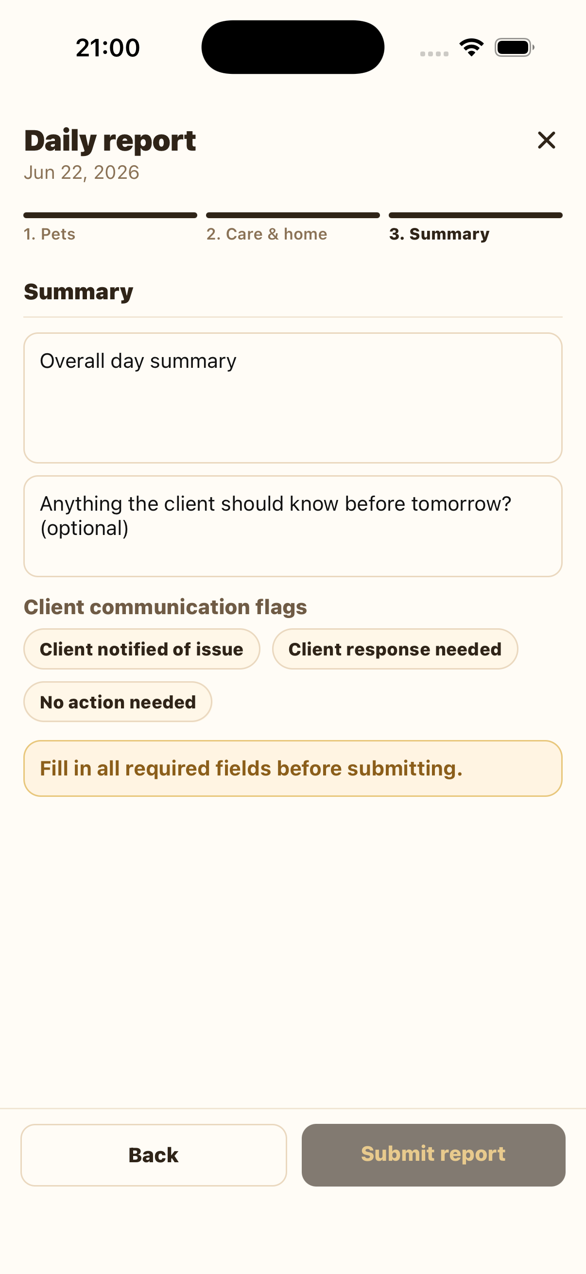 Daily report Summary tab before required summary and flag are filled