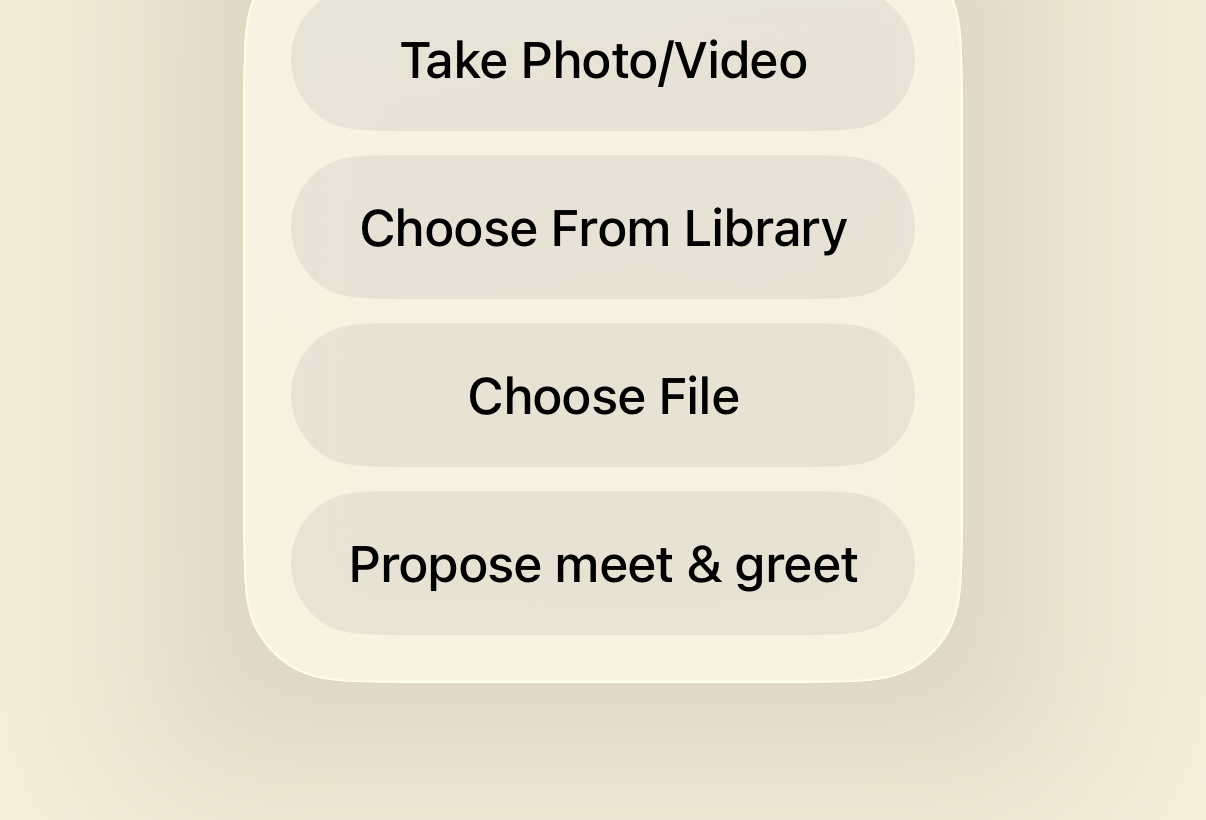 Booking chat attachment menu with a Propose meet & greet option