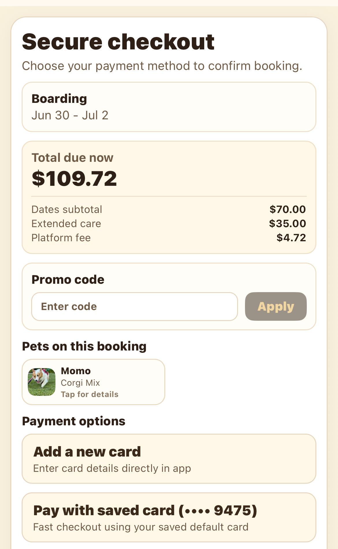 Secure checkout with a promo code field and payment options